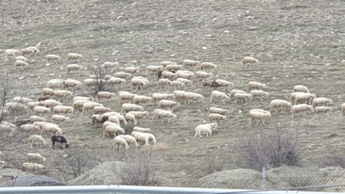 599a1201618aa9fa34a59b792ac9d2afb400d3ab