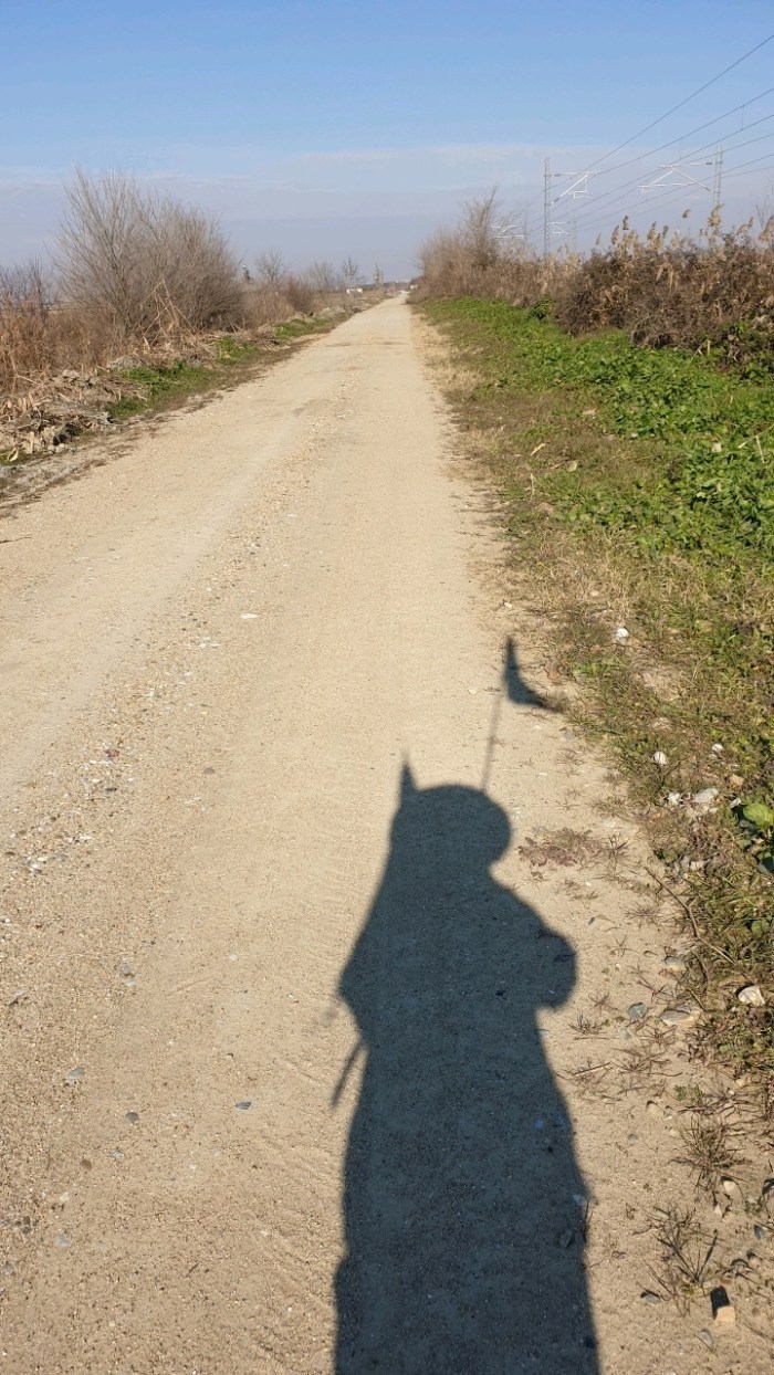 5f5d5b2e23cb20d3e9befd3e725360b4a8718c56