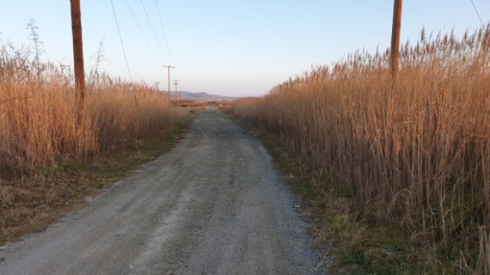 65ca12ec3c2a24675537177125fbbc6e58901f2c