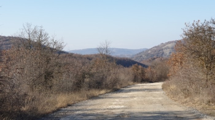 67cd1cdfa798c12225b11813d8aa7e803ba819a9