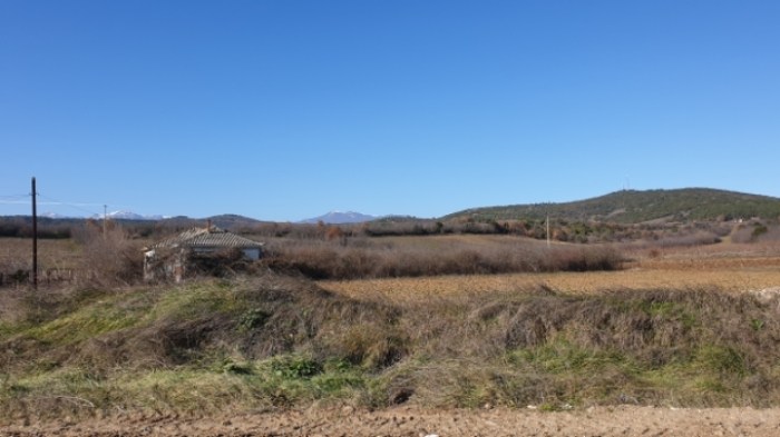 6b648da6da0138745866c4cac2ffbd50c14d8a92