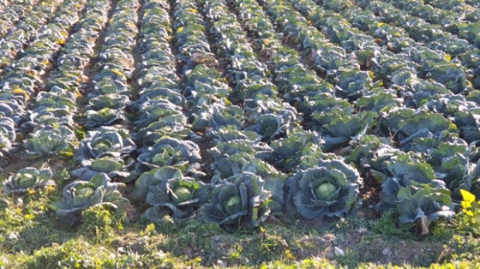 6d9d8cf71854566665024a5c7cf4f0d032205739