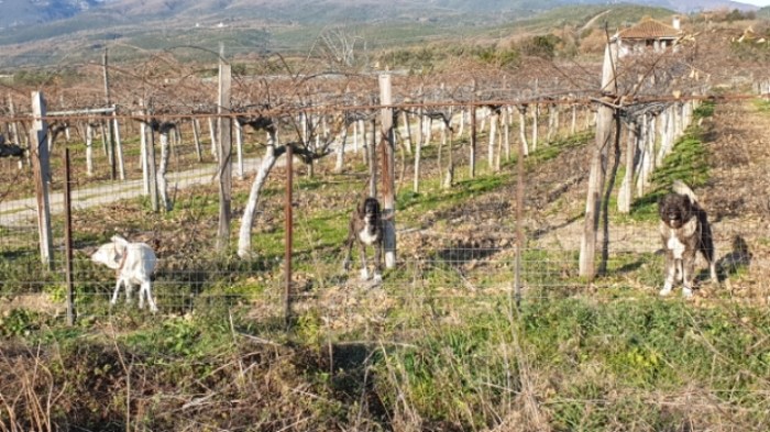 71fd8b6fe88003436265556ec040d0bb8bf19c94