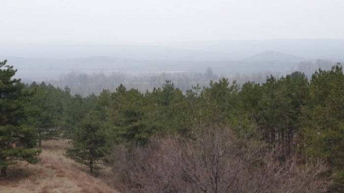 7543cd2ad45f9bd20348de65f25a51c783cad571