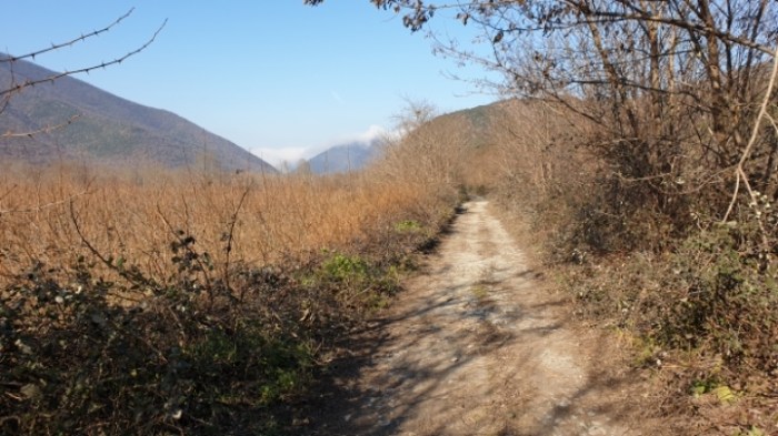 770a4be2c95ac151188aec592a28bf4c20999db0