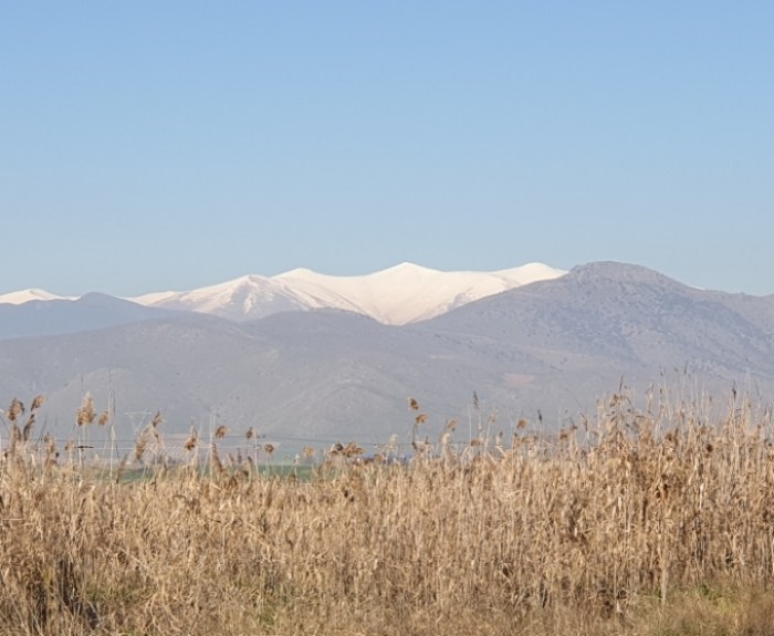 7884b1a4b97b9ca7f3d293872d6dba5e0e1c0fb4