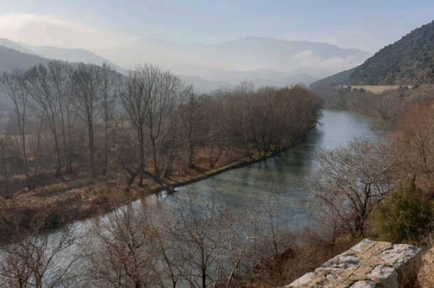 79514c6fe0da17df3fa974390f1313b498d5ec70