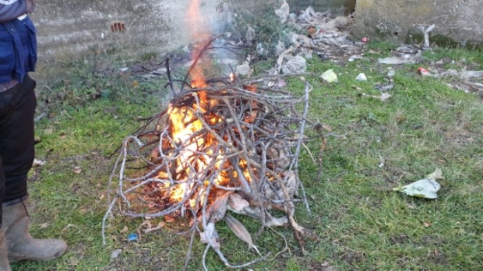 79bf7dd03a994219bc47bcb80e095c96d15d593a