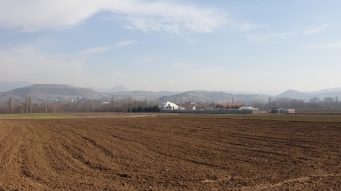 79d8487c7bd44aafe14aa0b67b87430eb5cb9be9