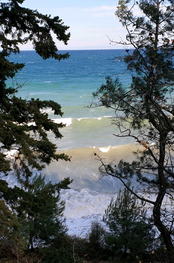 7bef1f5bbd8af24fd9917ede9919e7ad7702d2d8