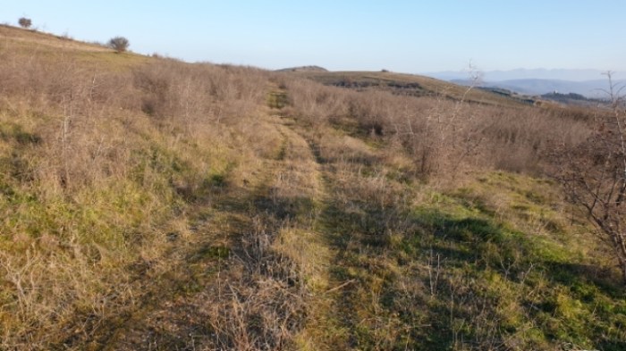 7c57a3f694e6ddecf669c3cf9069e1cf926b9441