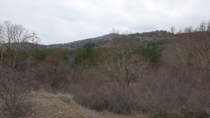 7d69f5389435af14de96494ae1cca311048fbe3e