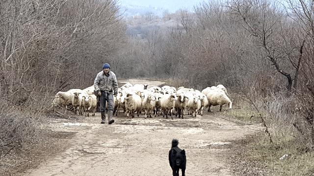 7fd87373dec91979be441cd3defa168ec317d663 (1)