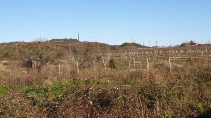 7fdc0e16b719d1575d79ddda282d0cf0ee602ebb