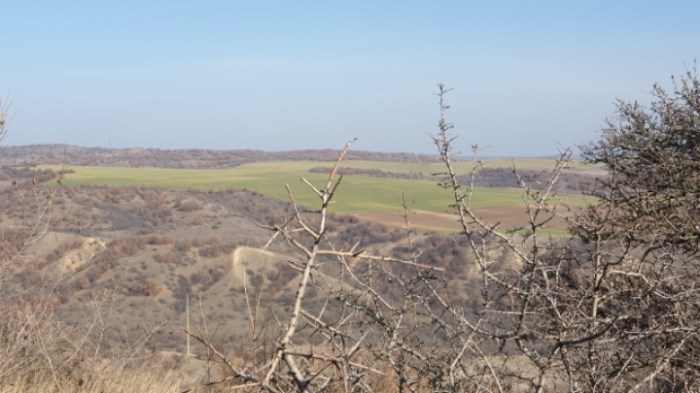 80facf7971b2a0af202a0d0f37cc73cb306ee8e1