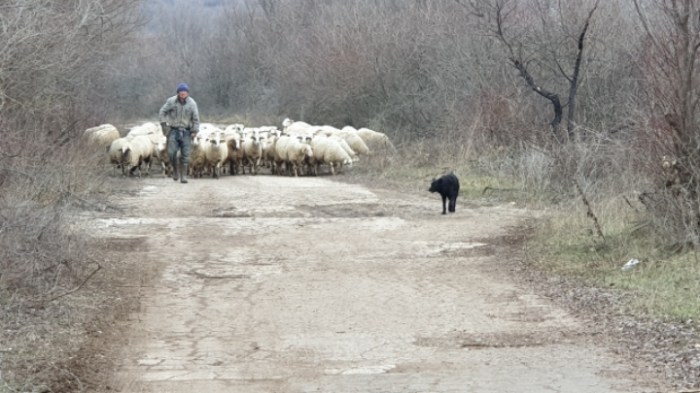 81a84e452717126f3aa14e50749c83a710e35d82