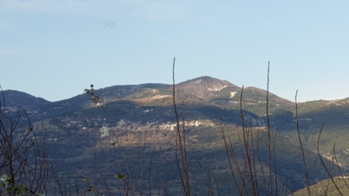 859a0e7d1b550a1d1e24643a0c68813fa1af58f8