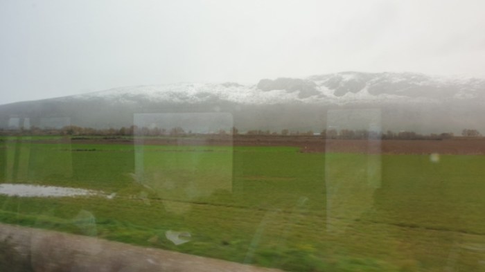 88f53203552040d85335c302ecafe99738525cdb