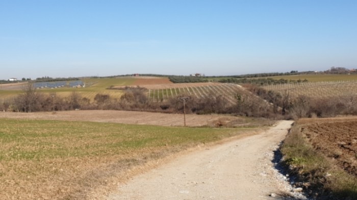 93d1ee99c2ed5c6764da47caf1976c599ce9771c