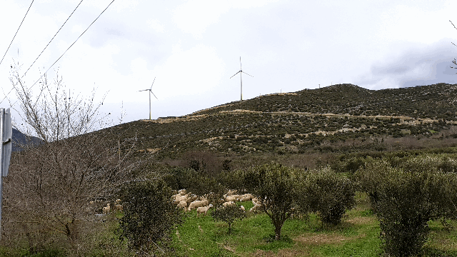 93e7a15569c06884a525345693bccdc7cbdbb869