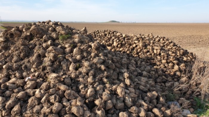 979e3ca87ff18e4c2c028b98d6db39dcf9b45d3d