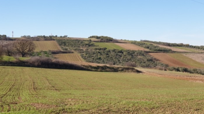 9e639408cba16883af9eff487f3e9bc8a0fb19cd