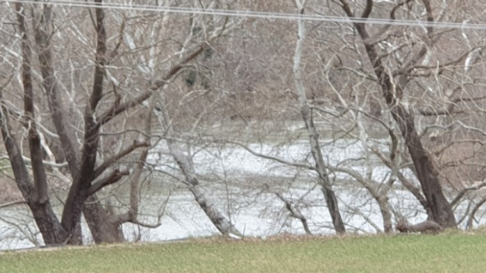 a96cb46a6086f24e0d41f8ccd6b7ef6ac24cb90f