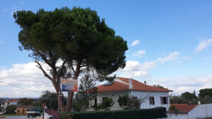 ade576384d4765cb112ca50e1bb36e688028dcd7