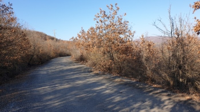 ae9b24b878c64418f361d9c43dc0b7259e85c7db