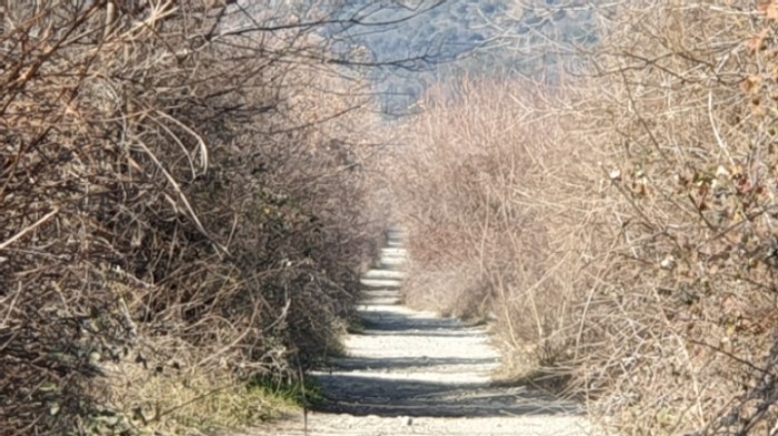 b05933bc89719f50e744430035eaf6418b6d238d