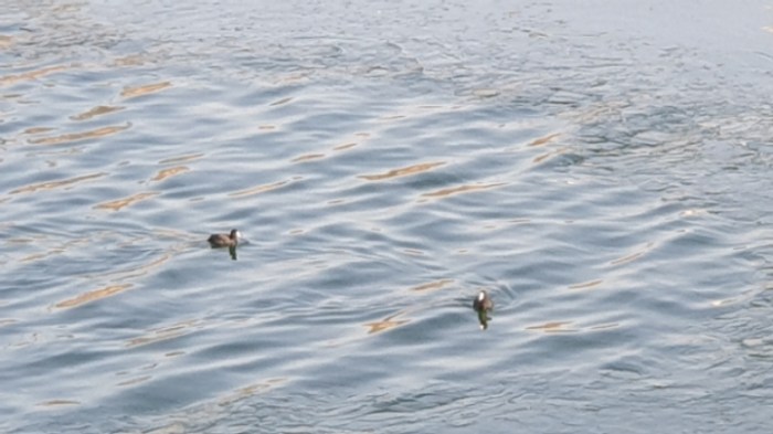 bf7c7fb56c8ebce3007dea6abefdadd63bdbc553