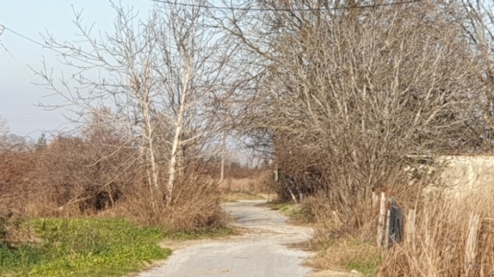 c29db54b8dd556e0673517318683695dedbc3b4d