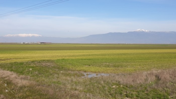 c2a0a43612197e9b1c1063b8fd6940900b2918de