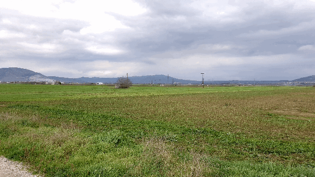 c4f6a2e1e048cb7c6ff67c69768d2942ab24b658