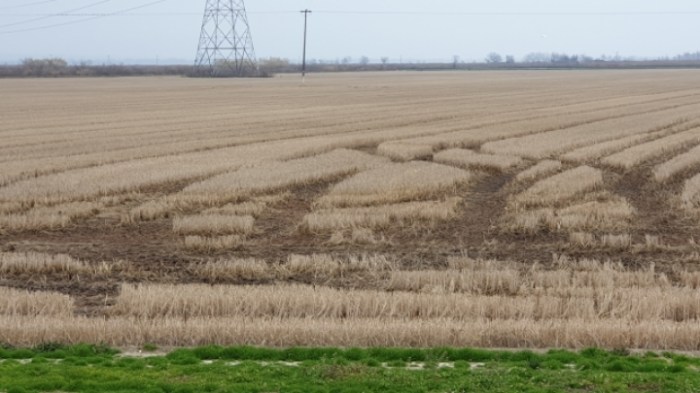 c9a24df3ac62c2b77ec0b215a509ff9ab0462f2b