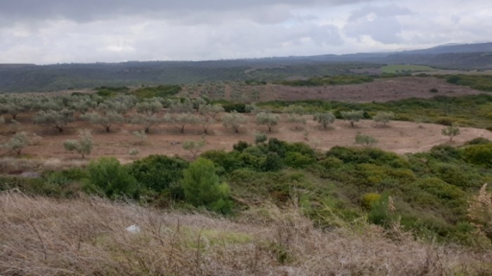 d40cfb9d7c54210cecaf2429e85c037eab0f18c2