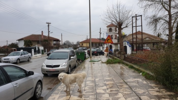 d9b087db0015e13d339c57e7387ea35b0853368b