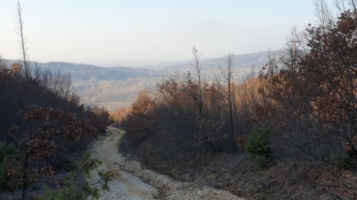 daa82d3fe6bf2e90ab8b5648b045f008bb45e832