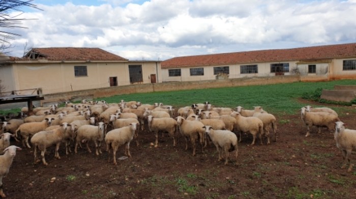 e4ee2de6ff34166cbb97798d79676ac5c5446a22