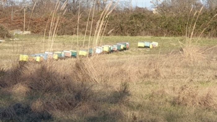 e5da5644d5a53cf13b3b11be67e259ea7d6614e9