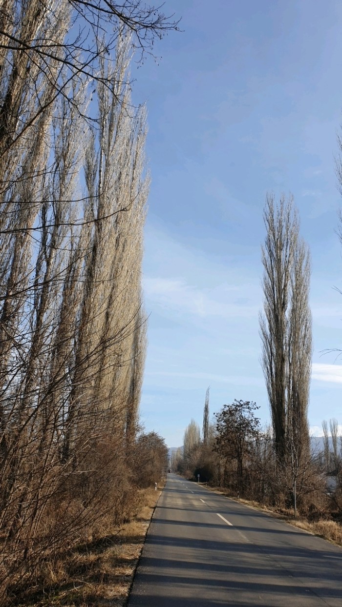 e9ea36dfb10f28ae73777103b39b11adb209f36c