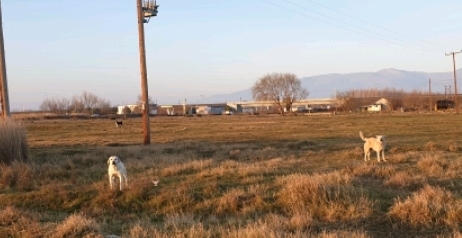 ea422ad4851b852b9c9bb3afc3a8452001d02982