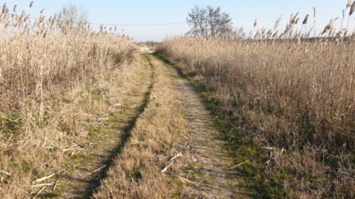 ecbaaba41c4447cff65c538b61f2922799829c38