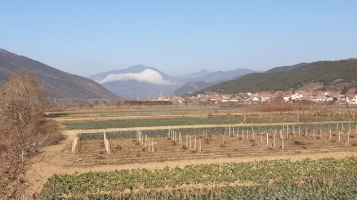 f0876b94f6734cc1dd01256d80dfb1beeef1f45f