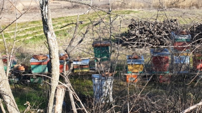 f5553adb1a05000bd058ff5e44f4e4c4b0836112