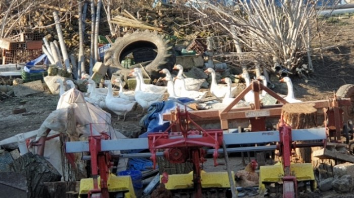 f6545e1425f5a287f18958b30dc3811edbe88af2