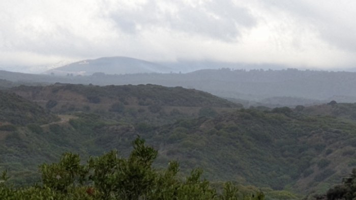 fd0c2a9afad61a2ef2f56f9df82c602d03c98f43