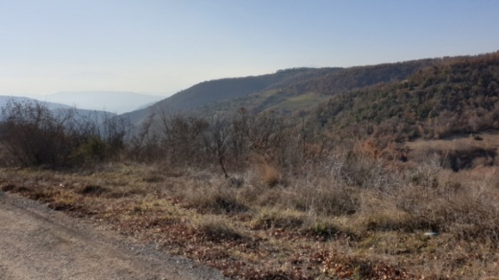 fe7ff96d958e719652ca71d8c99262a7fc48cc33