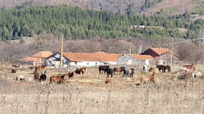 01ab5e98de10a1370792a5c3a7555cb6ede4acf2