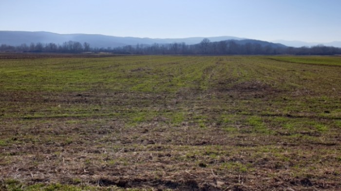 01ce4c8af0fdfb5126a40684a4f66c9c71054e5e